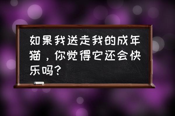 猫的顶级操作 如果我送走我的成年猫，你觉得它还会快乐吗？