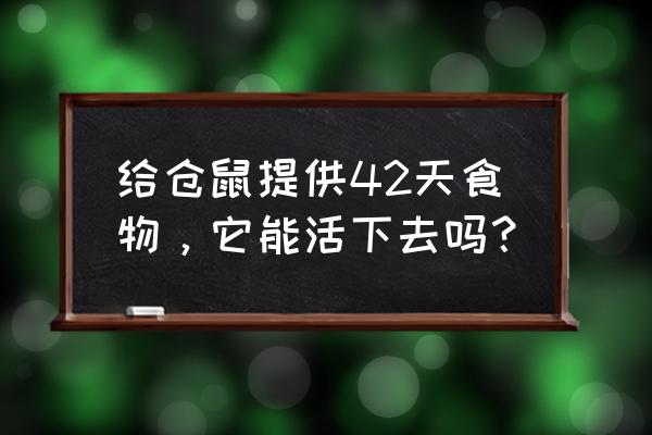 仓鼠大闯关小游戏第42关怎么过 给仓鼠提供42天食物，它能活下去吗？