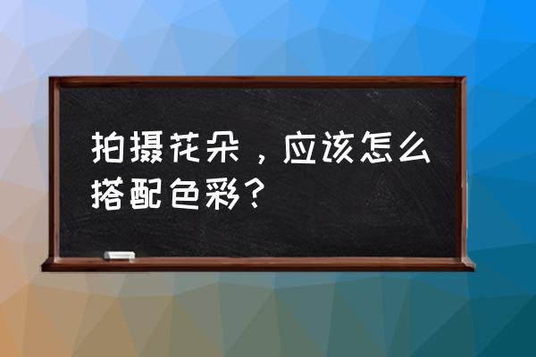 摄影色彩学基础知识 拍摄花朵，应该怎么搭配色彩？