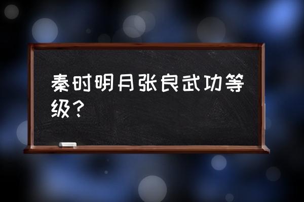 秦时明月武学怎么升级 秦时明月张良武功等级？