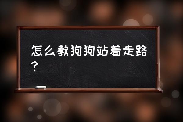 怎么训练狗狗直立走路的方法 怎么教狗狗站着走路？