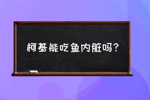 柯基犬除了吃狗粮还能吃什么 柯基能吃鱼内脏吗？