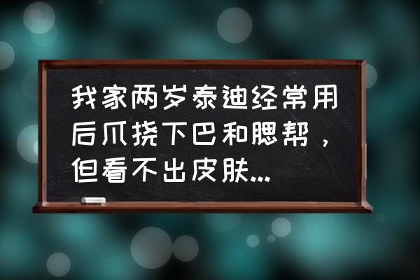 狗总挠墙怎么回事 我家两岁泰迪经常用后爪挠下巴和腮帮，但看不出皮肤什么明显的症状，有时还经常在一些物体上蹭来蹭去，请？