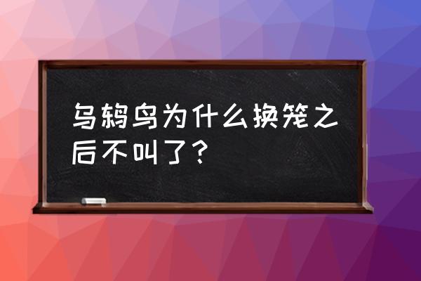 乌鸫鸟换了地方不叫了怎么办 乌鸫鸟为什么换笼之后不叫了？