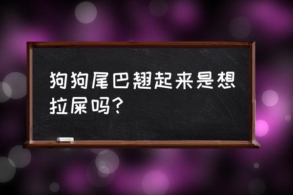 为什么狗狗拉屎前一直转圈圈 狗狗尾巴翘起来是想拉屎吗？