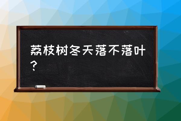 夏日荔枝的浪漫 荔枝树冬天落不落叶？