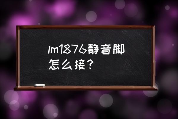 超静音端子机的正确操作方法 lm1876静音脚怎么接？