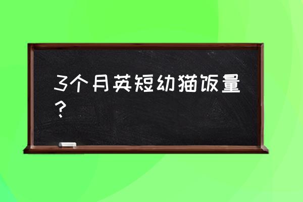 三个月的猫咪怎么喂食最合理 3个月英短幼猫饭量？