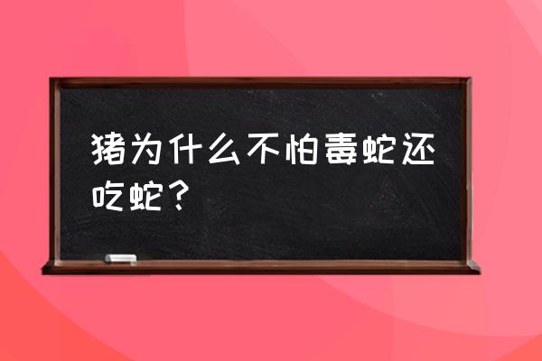 为什么猫狗对小孩子容忍度那么高 猪为什么不怕毒蛇还吃蛇？